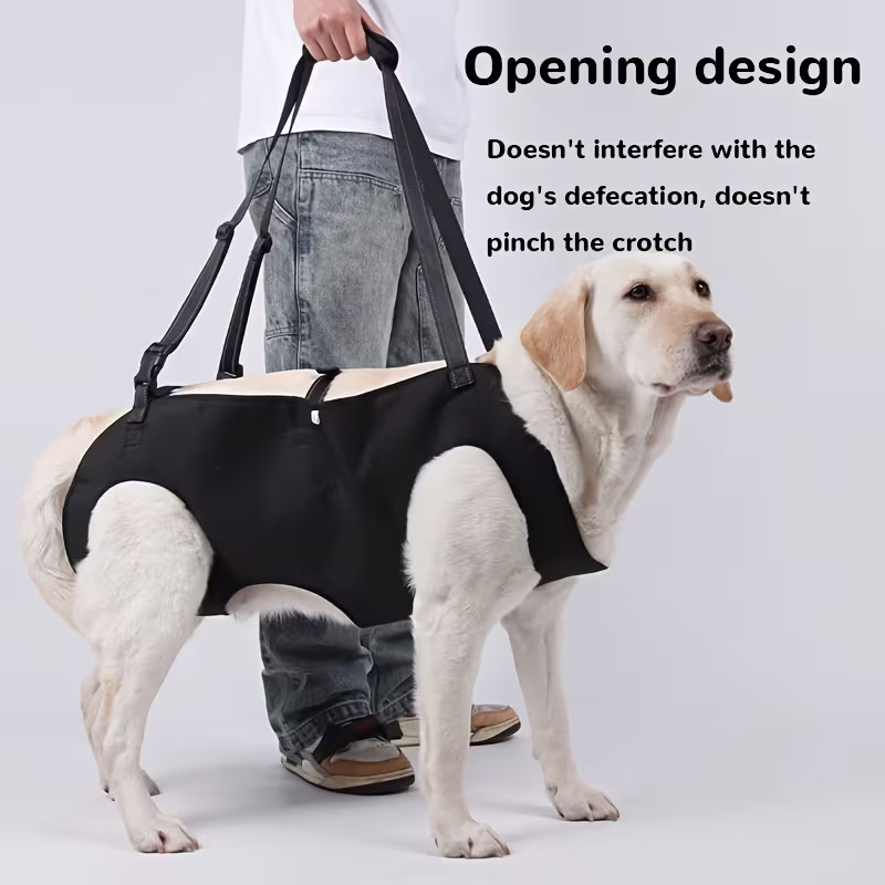 犬用階段昇降補助リード、高齢犬用サポートスリング、調節可能な - Harness Climbing Adjustable のレビューと価格